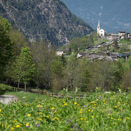 Case Gran Paradiso Rhemes Saint Georges Exterior foto